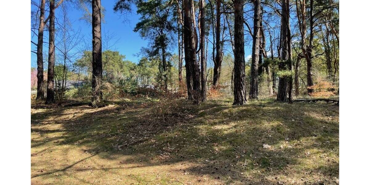 Grundstück Bad Saarow Bad Saarow-Pieskow - 388.000&euro; | Angebot:26202003