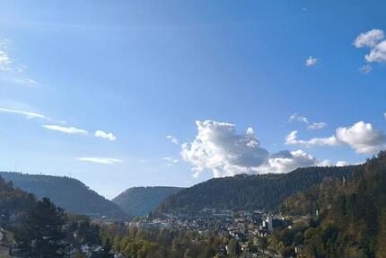 Komplett renovierte 4,5-Zimmer Wohnung - PROVISIONSFREI 4 zimmer