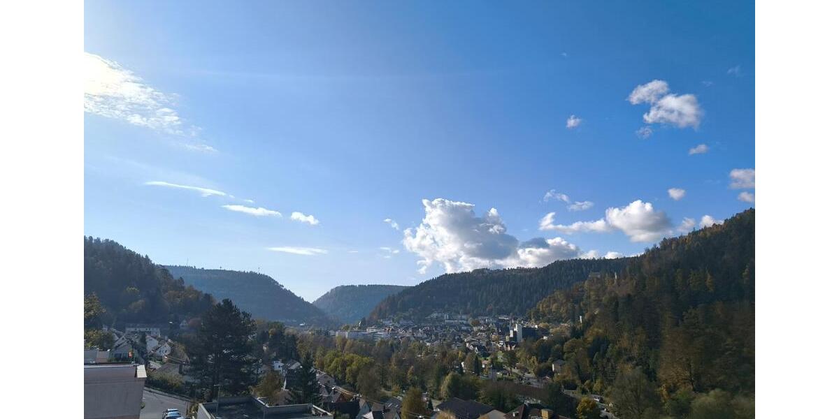 Komplett renovierte 4,5-Zimmer Wohnung - PROVISIONSFREI 4 zimmer