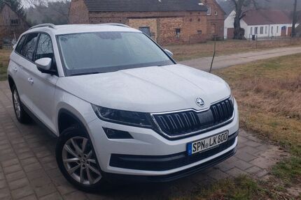 Skoda Kodiaq 191.000 km 18.900 &euro; Cottbus 03046