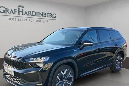 Skoda Kodiaq 17.500 km 44.990 &euro; Radolfzell 78315