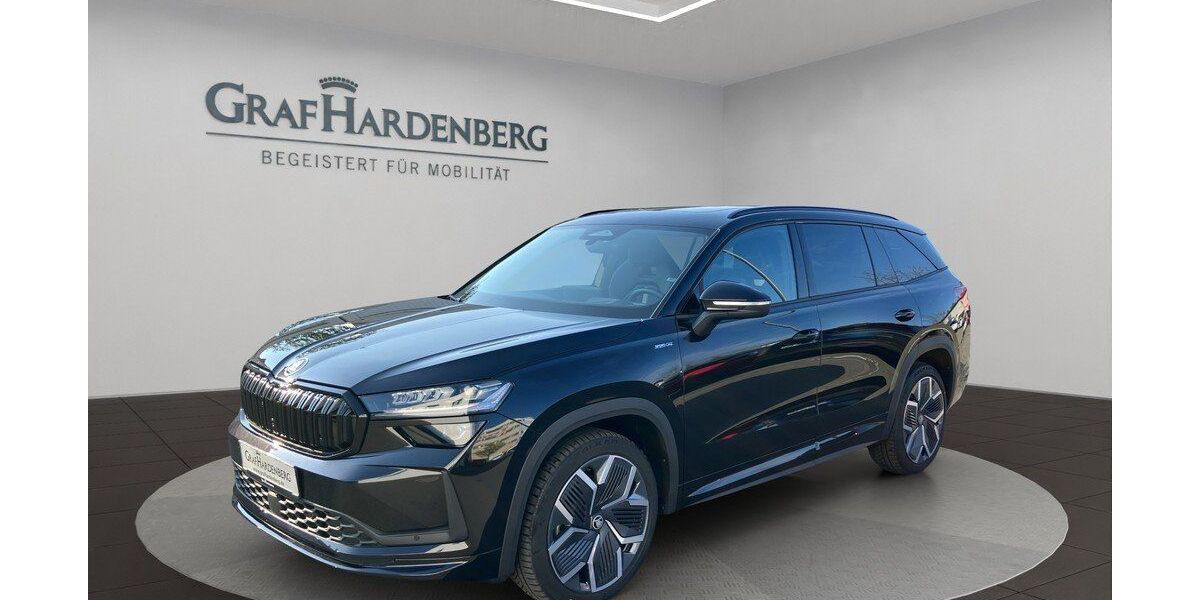 Skoda Kodiaq 17.500 km 44.990 &euro; Radolfzell 78315