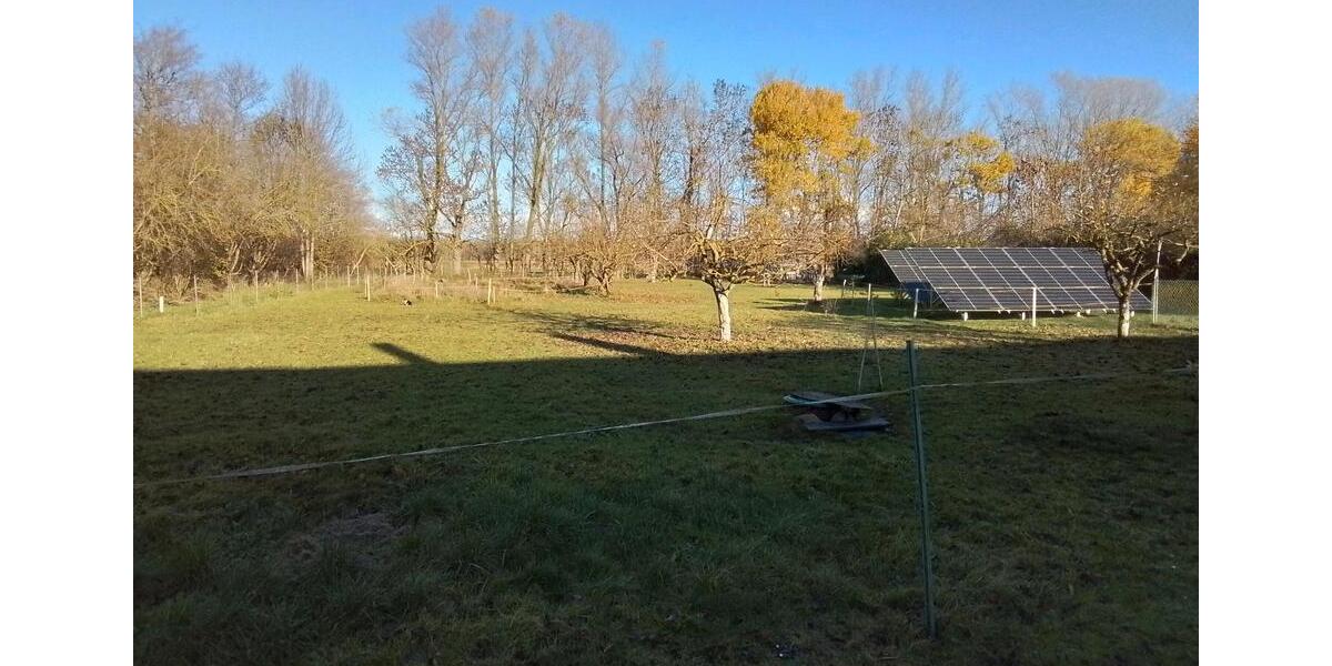 Doppelhaushälfte, großflächig, bei Greifswald 7 zimmer