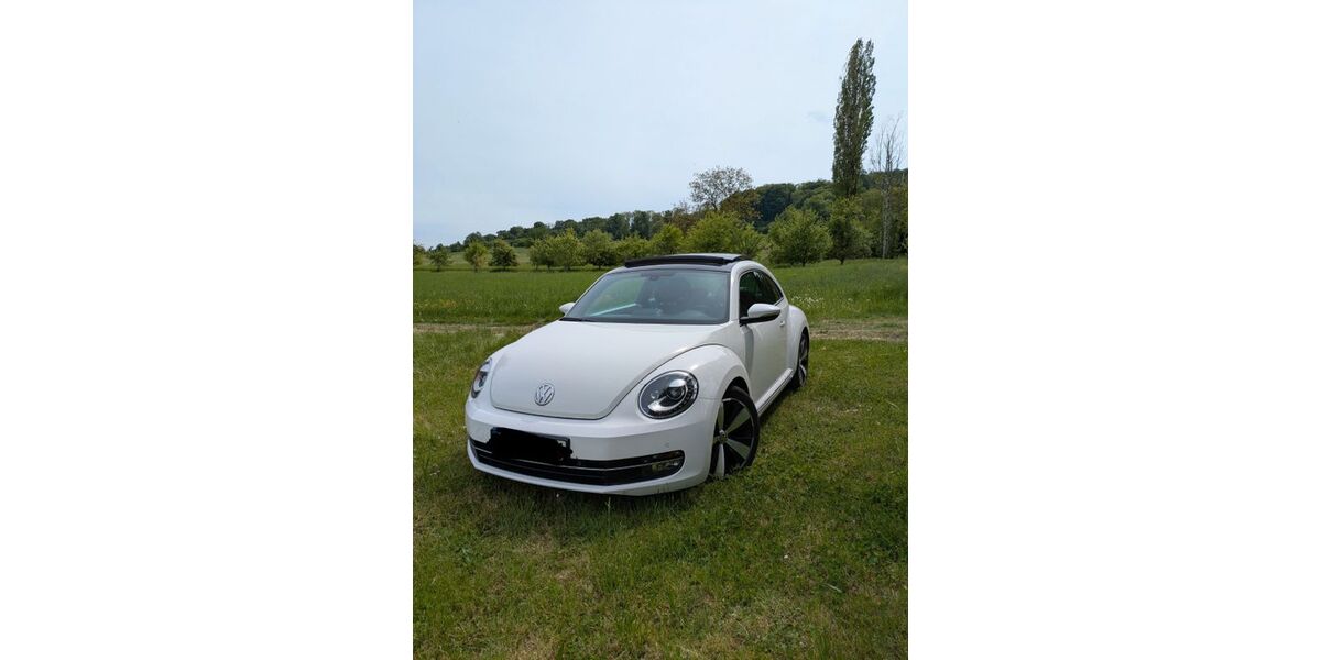 VW Beetle 150.000 km 6.500 &euro; Blieskastel 66440
