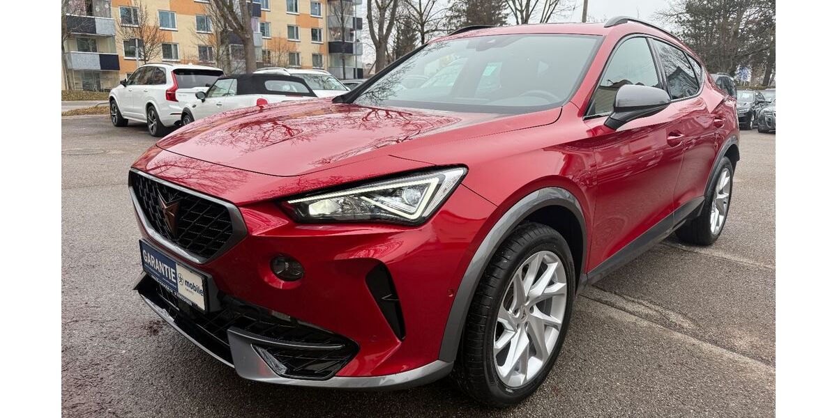 Cupra Formentor 183.289 km 14.999 &euro; München 81243