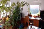 Doppelhaushälfte Würselen - 8 Zimmer, 155 m&sup2;, 343.000&euro; | Angebot:26865155
