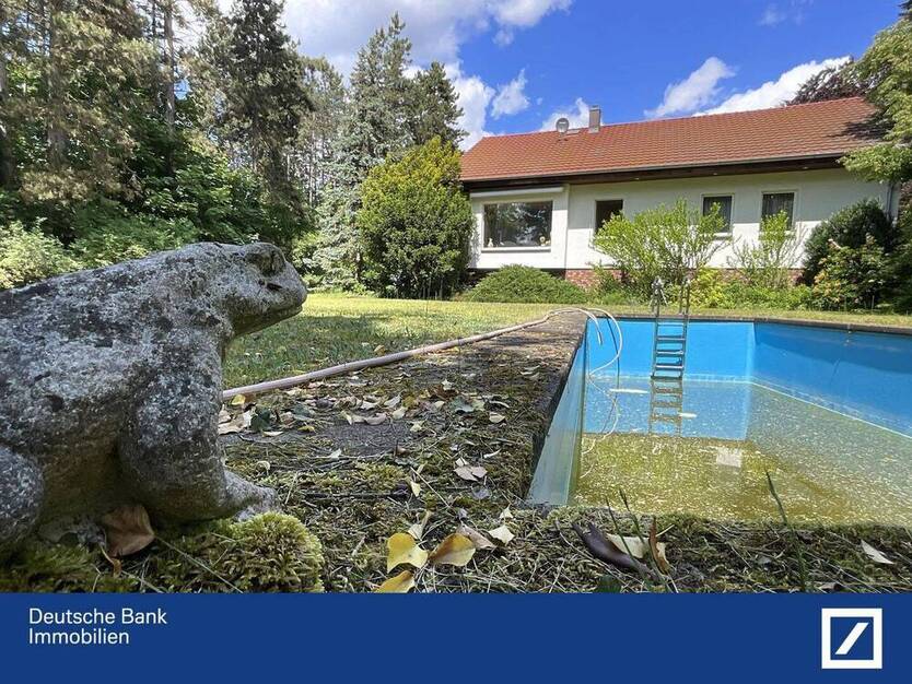 Frosch sucht Mitbewohner - Wer küsst mich wach? 5 zimmer