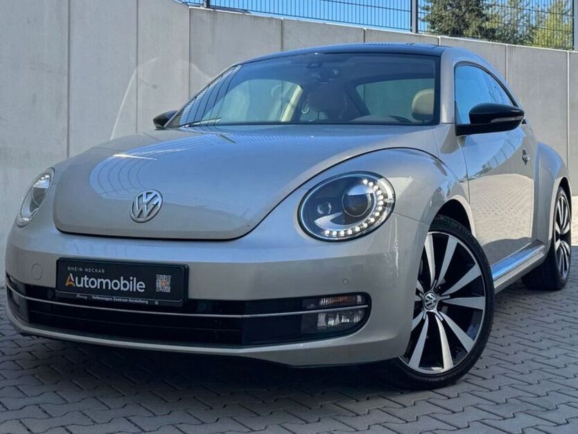 Beetle