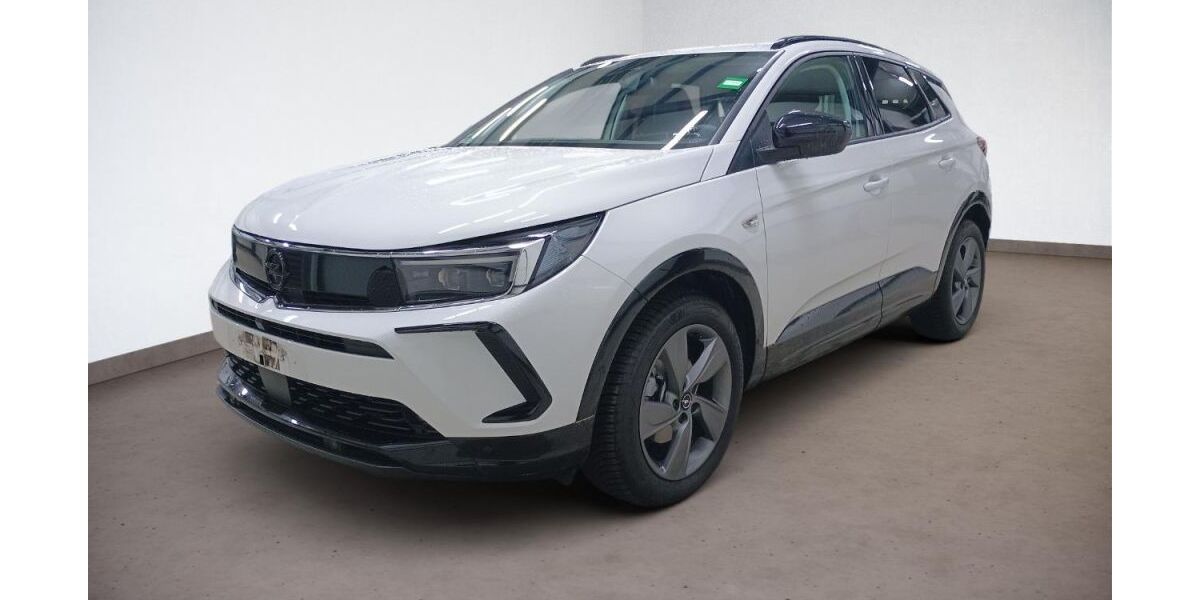 Opel Grandland (X) 6.293 km 22.929 &euro; Saalfeld 07318