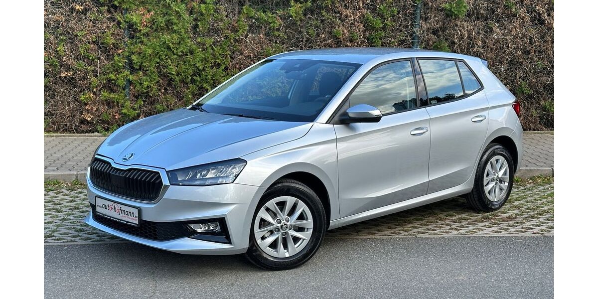 Skoda Fabia 10.158 km 17.470 &euro; Wallenfels 96346