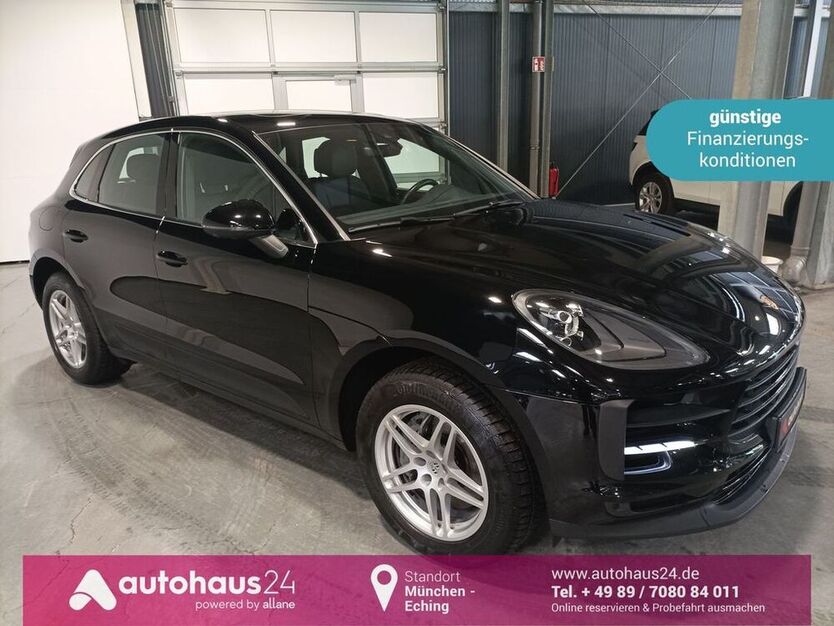 Macan