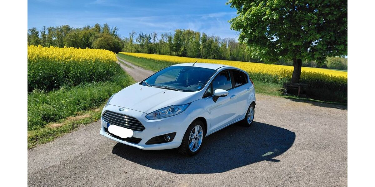 Ford Fiesta 75.000 km 8.600 &euro; Niederstetten 97996