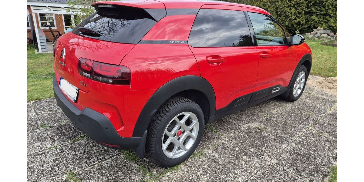 Citroen C4 Cactus 208.000 km 7.200 &euro; Selmsdorf 23923