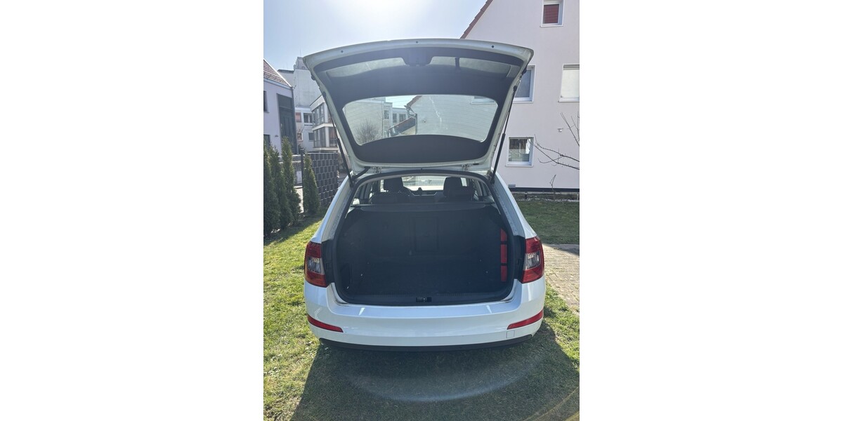 Skoda Octavia 306.000 km 5.999 &euro; Soest 59494