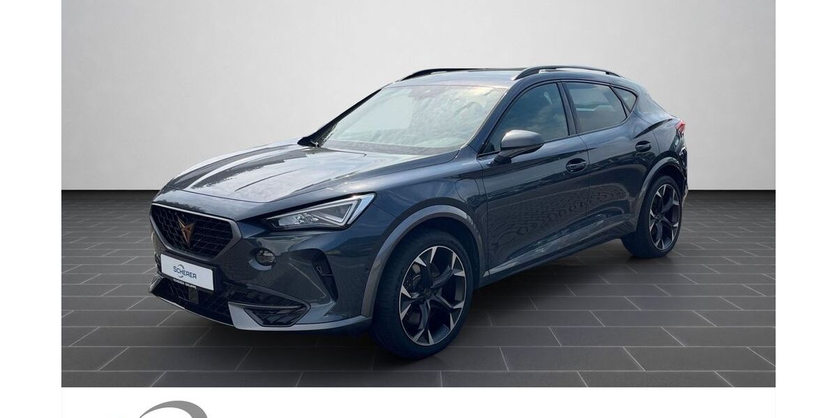 Cupra Formentor 91.487 km 21.880 &euro; Ludwigshafen 67063