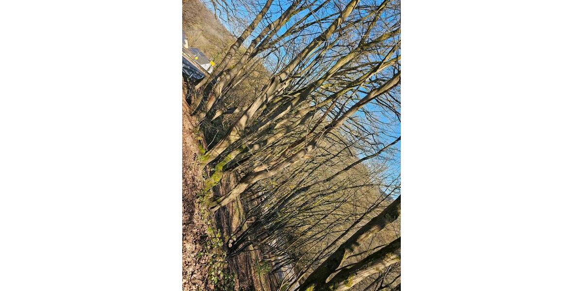 Grundstück Reichshof - 33.333&euro; | Angebot:25764344