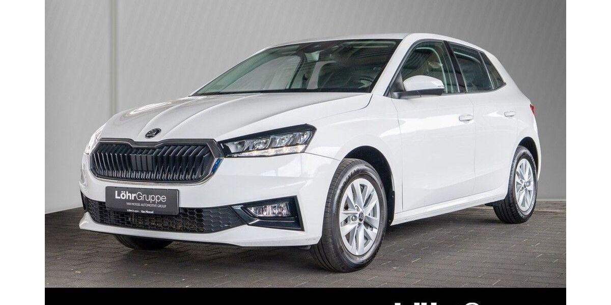 Skoda Fabia 30.883 km 14.980 &euro; Koblenz 56070