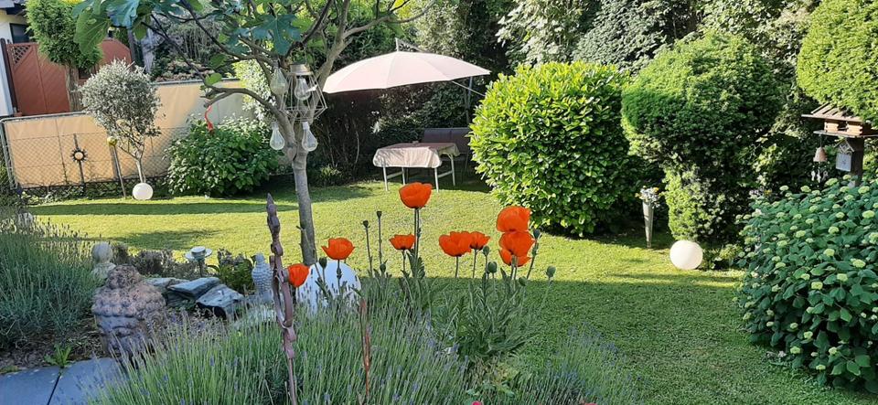 Einfamilienhaus Hofheim am Taunus - 9 Zimmer, 175 m&sup2;, 769.000&euro; | Angebot:26876267