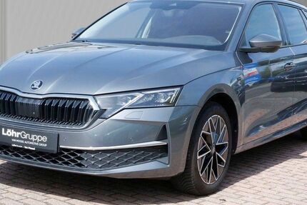 Skoda Octavia 26.730 km 31.750 &euro; Meckenheim / Bonn 53340