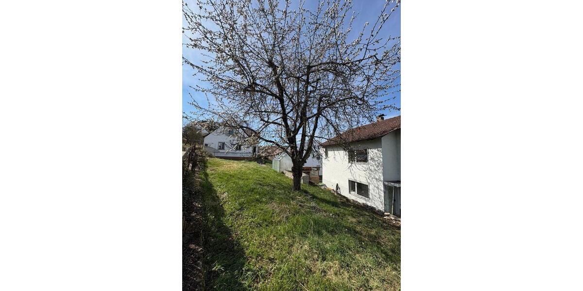 Einfamilienhaus Sinzing - 585.000&euro; | Angebot:26399452
