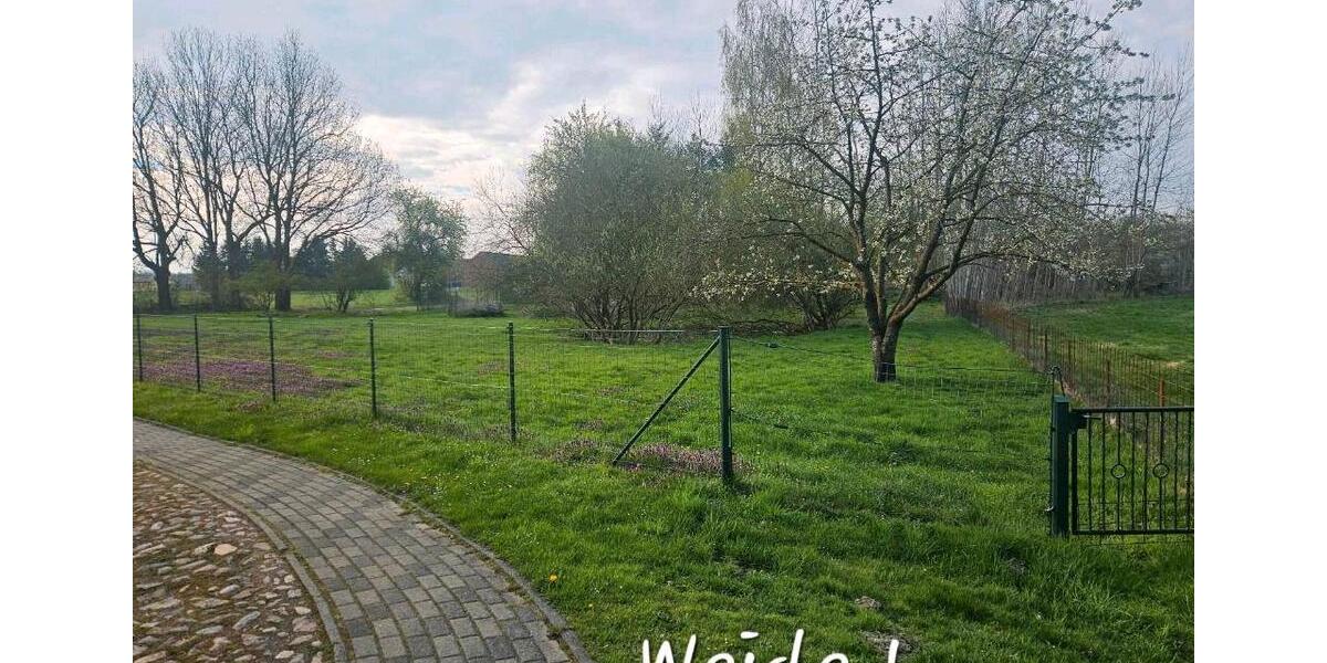 Bauernhaus, Landhaus Diesdorf - 6.5 Zimmer, 170 m&sup2;, 219.000&euro; | Angebot:26215902