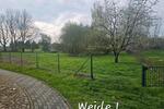 Bauernhaus, Landhaus Diesdorf - 6.5 Zimmer, 170 m&sup2;, 219.000&euro; | Angebot:26215902