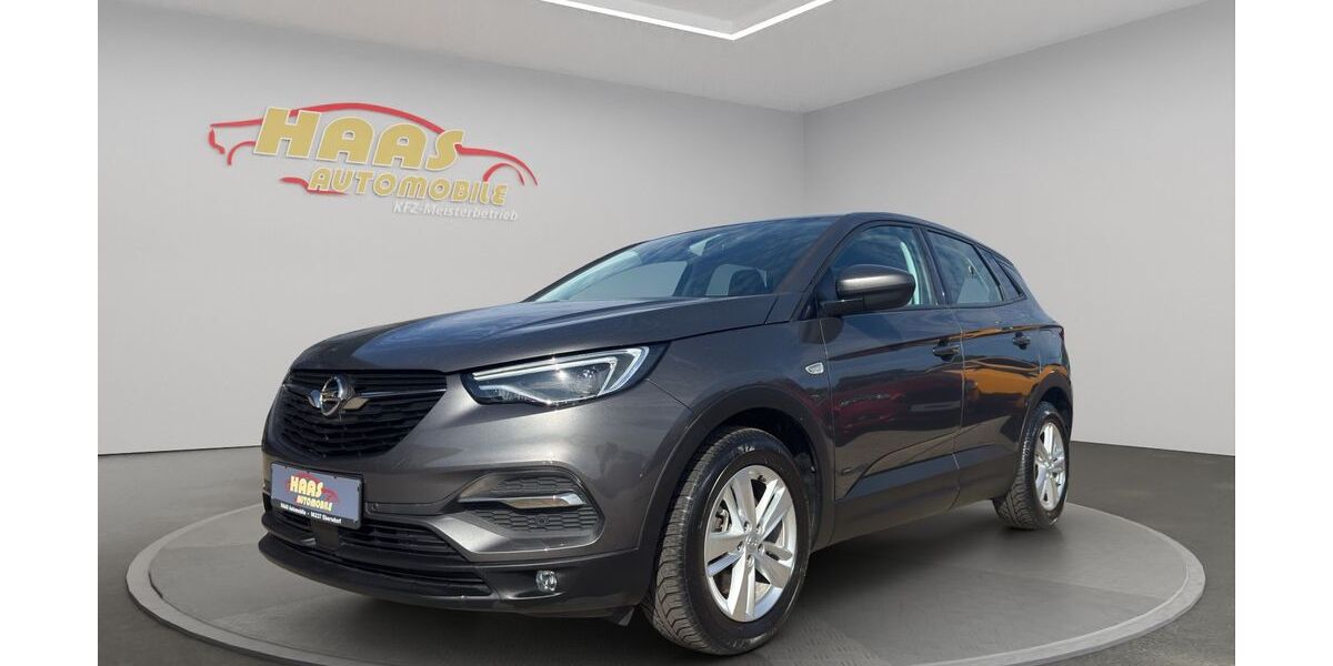 Opel Grandland (X) 45.966 km 17.490 &euro; Ebersdorf b.Coburg 96237