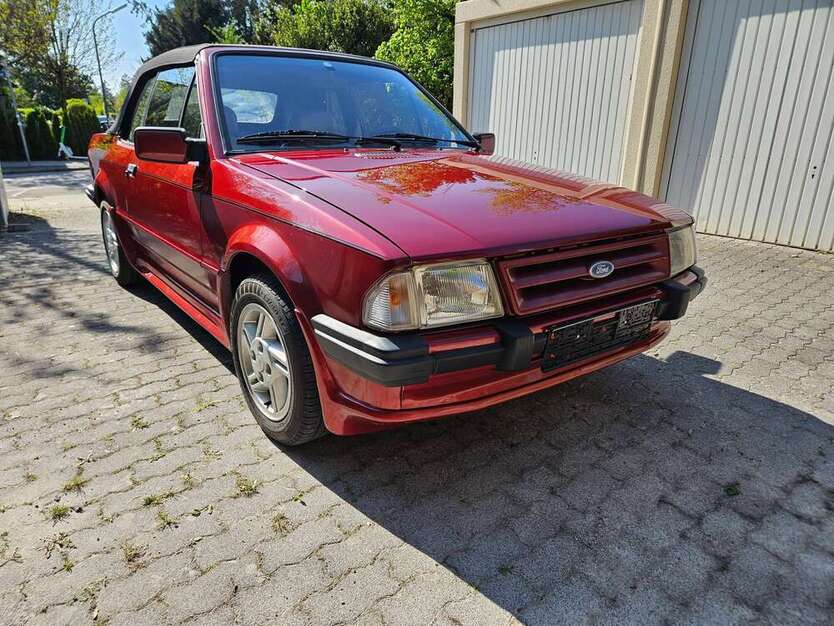 Escort