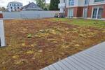 Etagenwohnung Greifswald Fettenvorstadt - 4 Zimmer, 103 m&sup2;, 395.000&euro; | Angebot:26874903