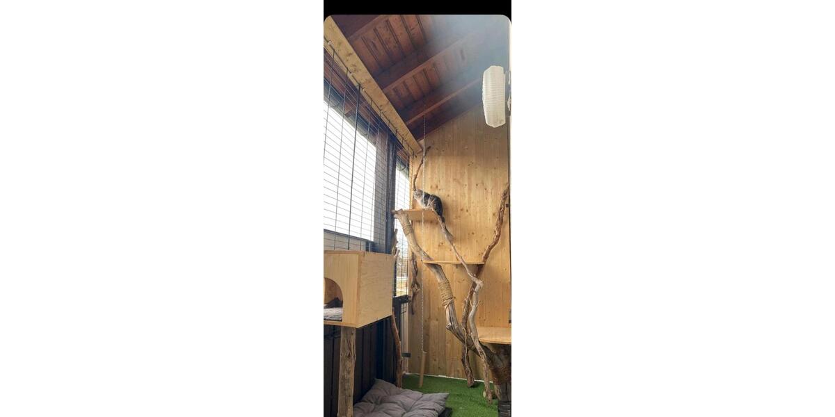 Reihenhaus Germaringen - 10 Zimmer, 130 m&sup2;, 1.600&euro; | Angebot:26153718