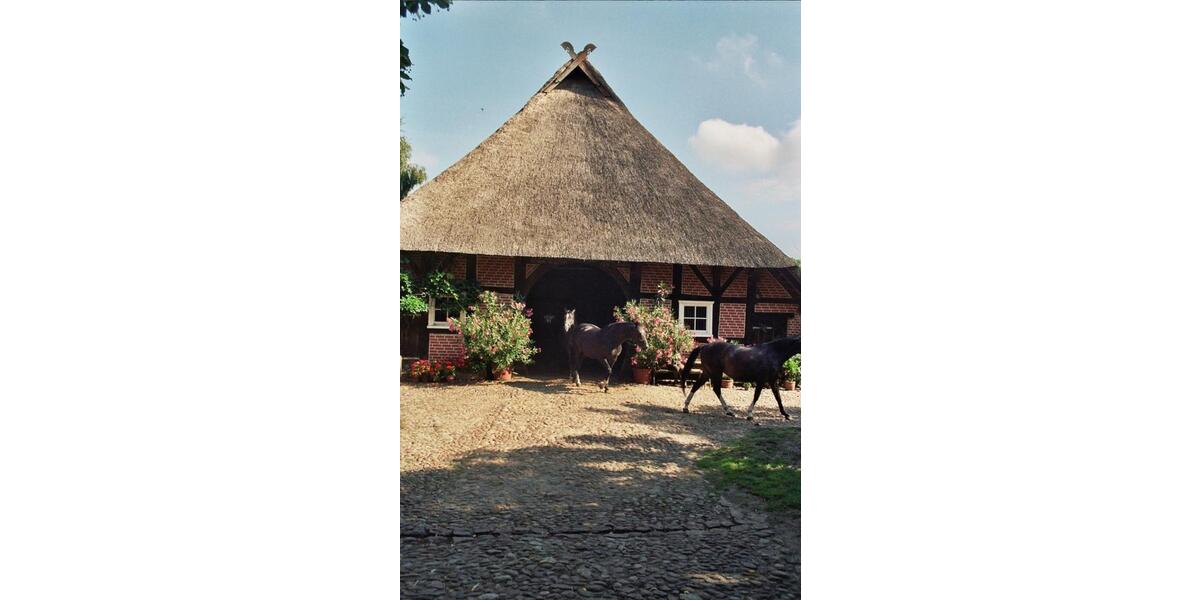 Bauernhaus, Landhaus Neu Kaliß - 450.000&euro; | Angebot:21290877