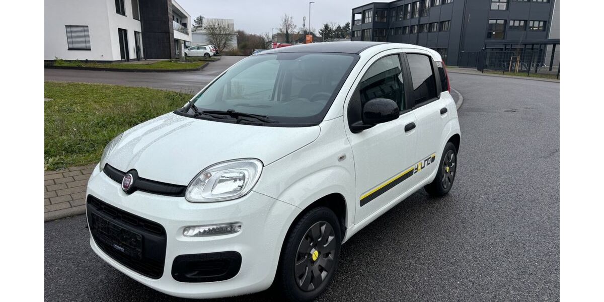 Fiat Panda 21.000 km 7.990 € Plankstadt 68723
