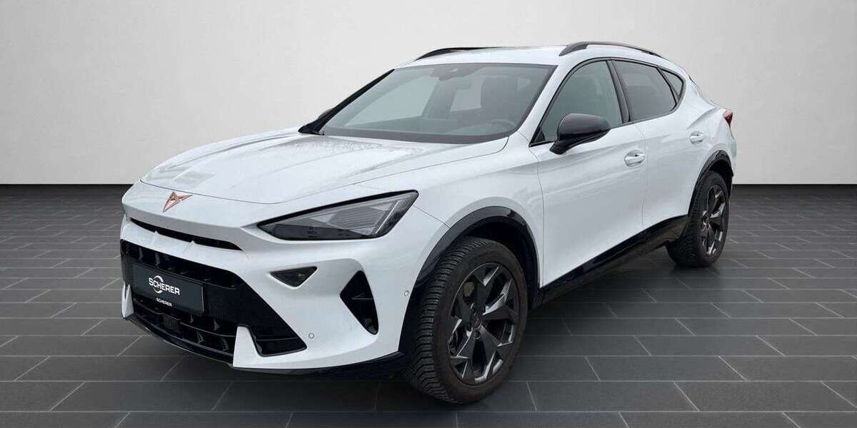 Cupra Formentor 34.739 km 33.490 &euro; Heidelberg 69123