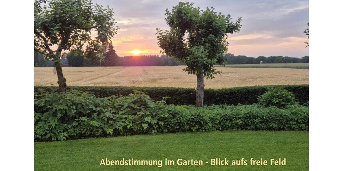 Einfamilienhaus Haselünne - 8 Zimmer, 225 m&sup2;, 475.000&euro; | Angebot:26006118