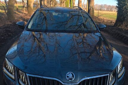 Skoda Octavia 92.000 km 14.700 &euro; Scheeßel 27383