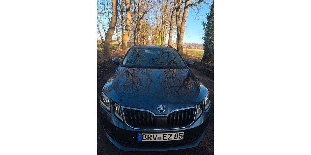 Skoda Octavia 92.000 km 14.700 &euro; Scheeßel 27383