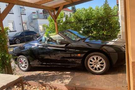 Alfa Romeo Spider