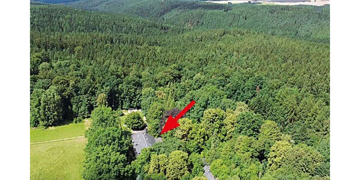 Gewerbeobjekt Mohlsdorf-Teichwolframsdorf Teichwolframsdorf - 9.000&euro; | Angebot:25367188