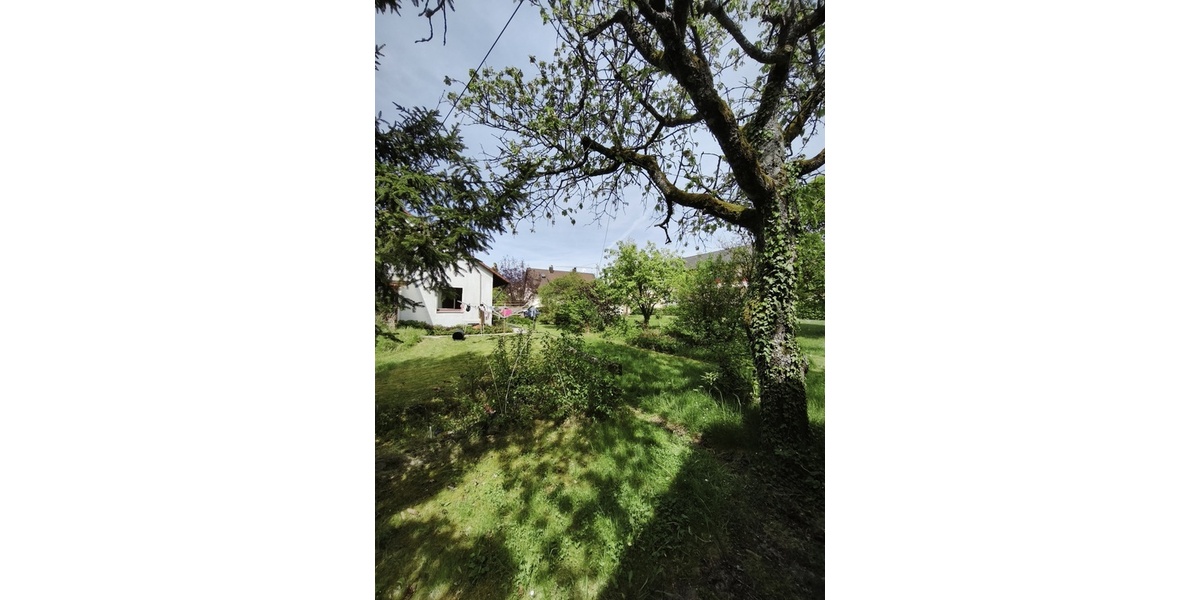 Großes, sonniges Traumgrundstück m. Einfamilienhaus und viel Platz zur freien Entfaltung! - Einfamilienhaus Möckmühl | Angebot:26441399