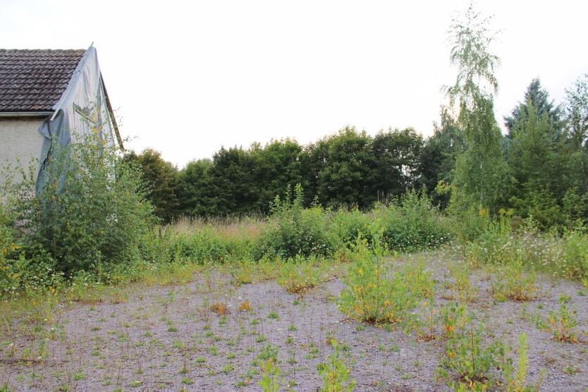 Starbach - Freiraum für Ihre Zukunft zimmer