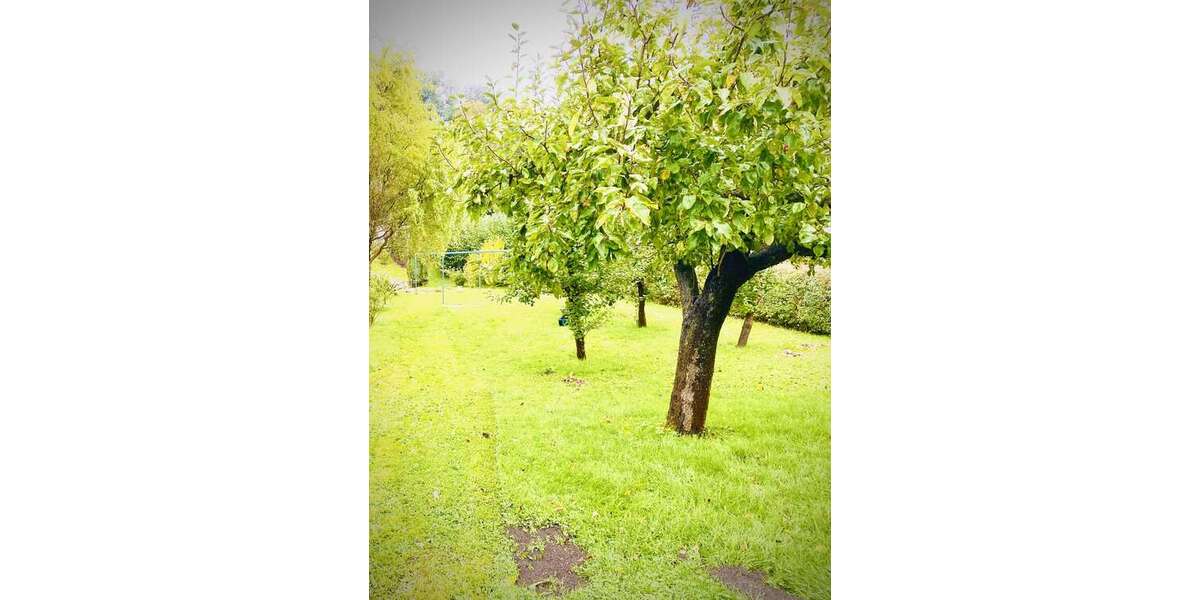 Grundstück Wintersdorf Wintersdorf - 44.850&euro; | Angebot:6600498