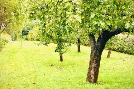 Grundstück zu verkaufen in Wintersdorf 44.850 € 650 m² zimmer