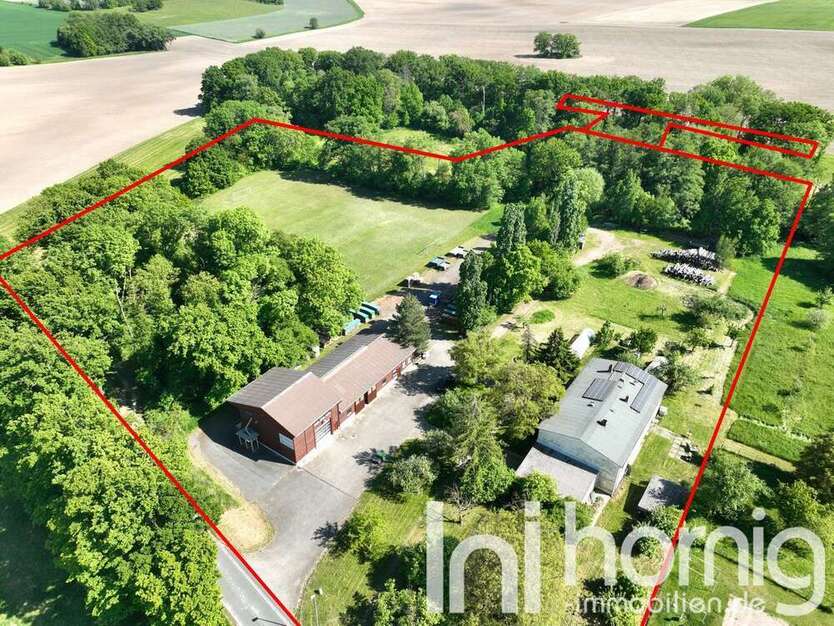 Haus zum Kaufen in Liebschützberg 499.000 € 252 m²