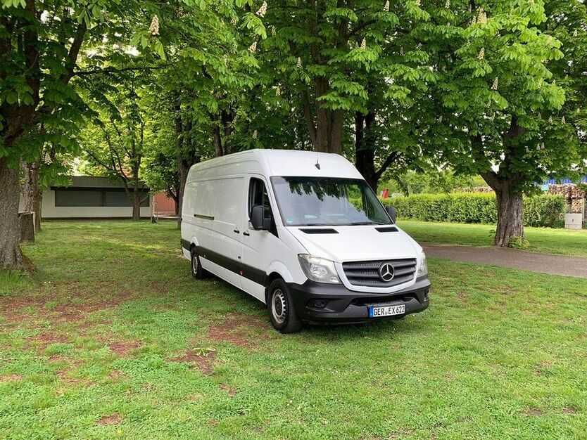 Sprinter