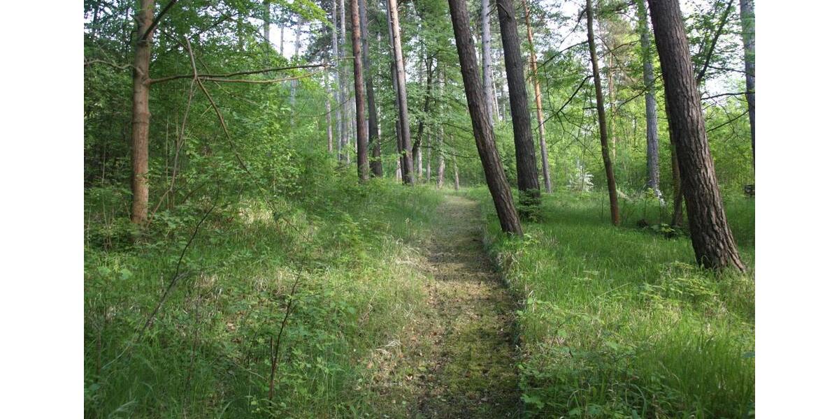 Einfamilienhaus Plaue - 290.000&euro; | Angebot:26818214