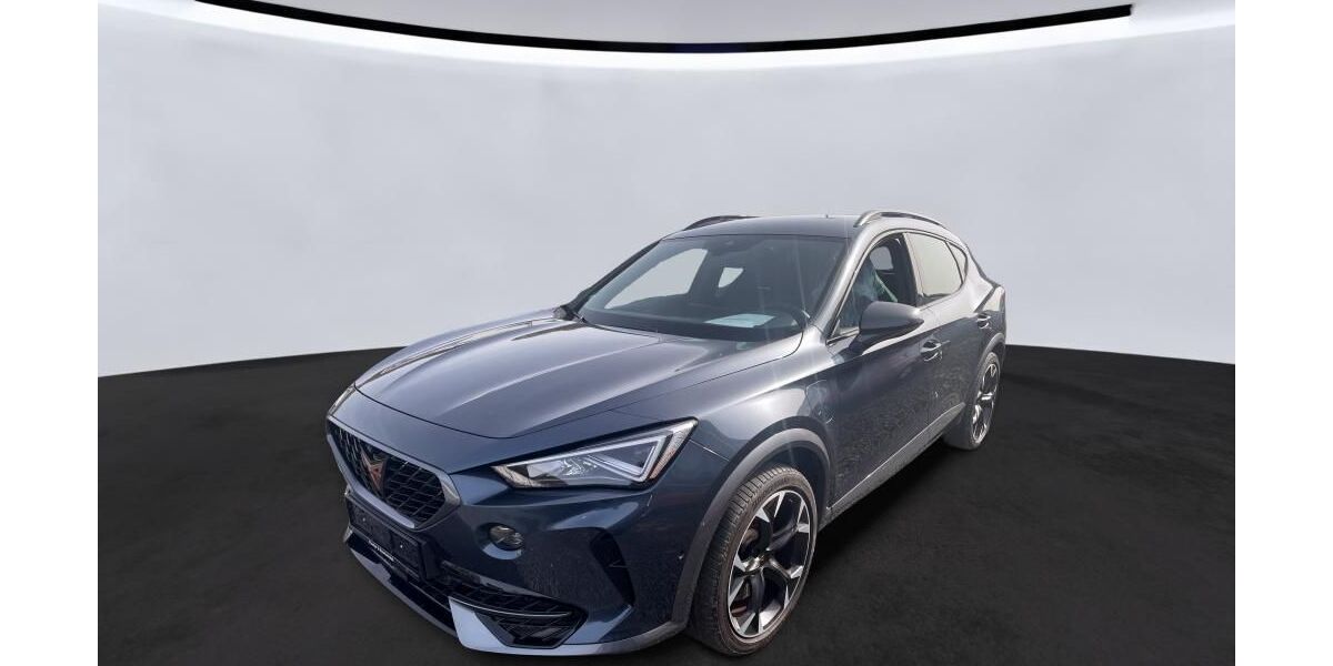 Cupra Formentor 95.000 km 21.990 &euro; Peine 31226