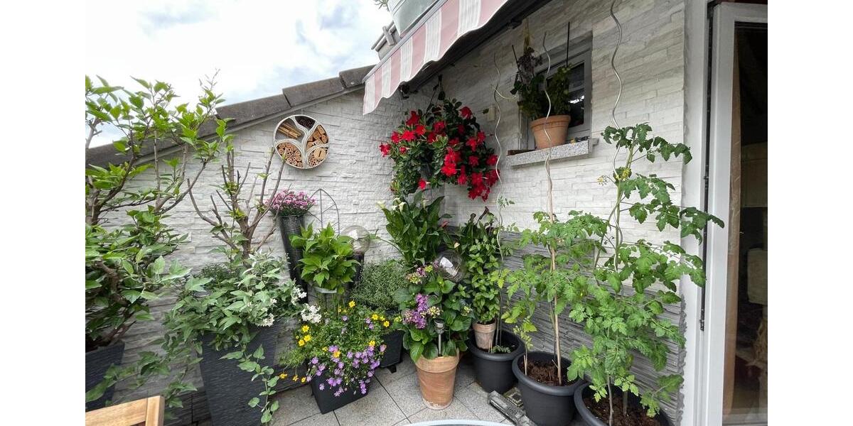 Helle Dachgeschosswohnung 3,5 Zimmer Pirmasens - Gersbach 3.5 zimmer