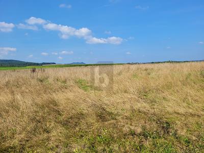 IHR WEG ZUM EIGENHEIM IN IDYLLISCHER EIFFELLAGE - Grundstück Großlittgen | Angebot:26543893
