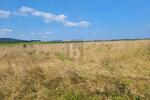 IHR WEG ZUM EIGENHEIM IN IDYLLISCHER EIFFELLAGE - Grundstück Großlittgen | Angebot:26543893