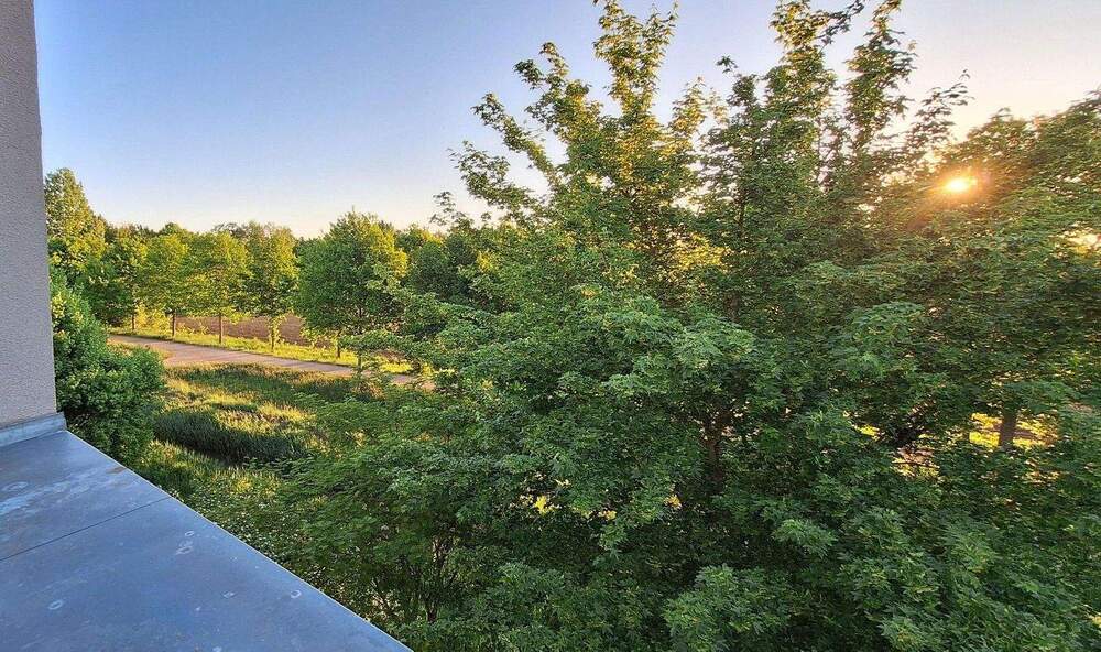 Reihenendhaus Bremen Oberneuland - 5 Zimmer, 180 m&sup2;, 795.000&euro; | Angebot:25784562